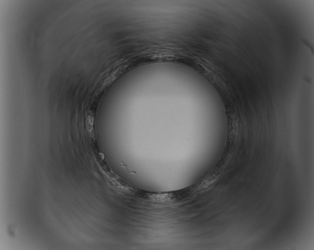 X0000102020281200807180950