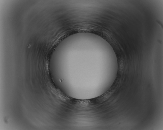 X0000102020282200807180950