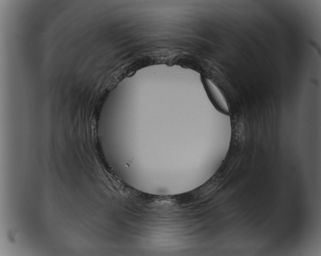 X0000102020283200807180950