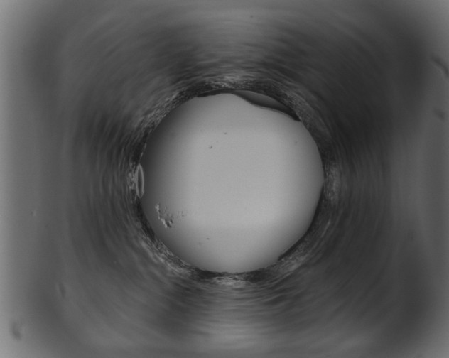 X0000102020284200807180950