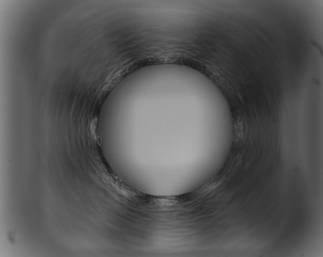 X0000102020286200807180950