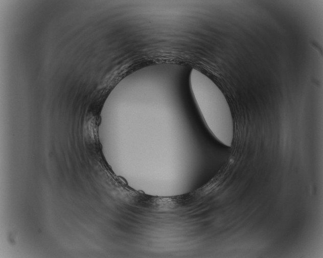 X0000102020287200807180950