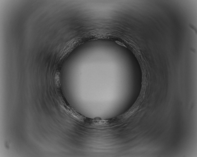 X0000102020288200807180950