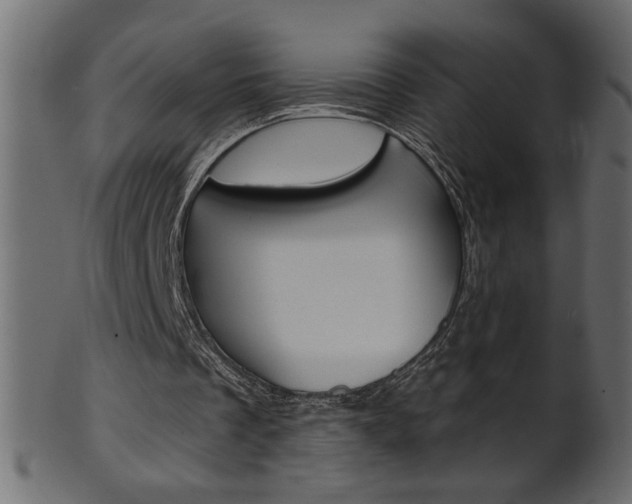 X0000102020289200807180949