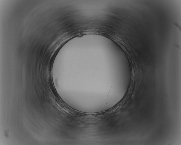 X0000102020290200807180949