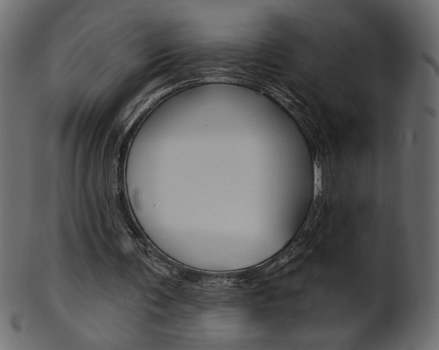 X0000102020291200807180949