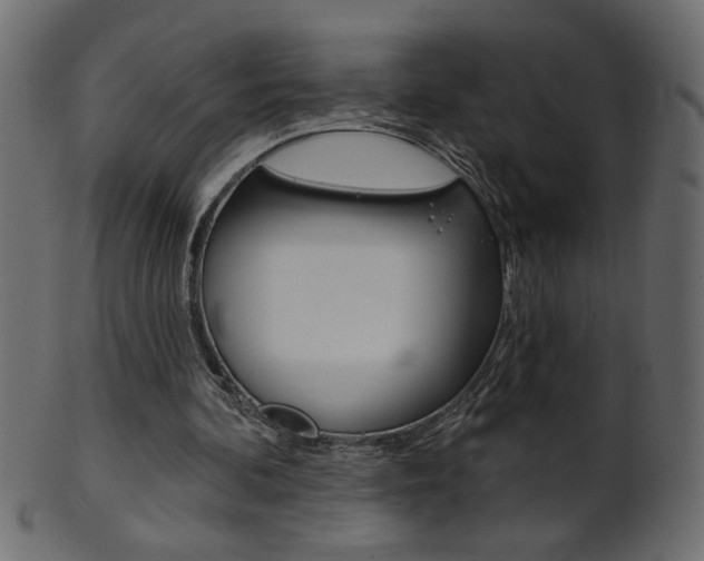 X0000102020292200807180949