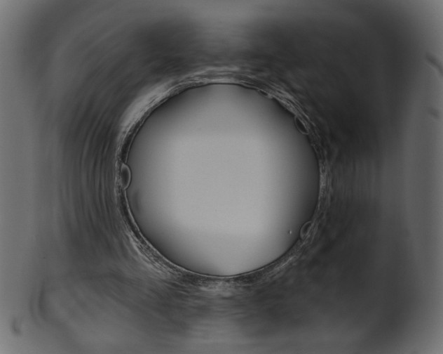 X0000102020293200807180949