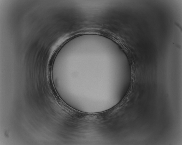 X0000102020294200807180949
