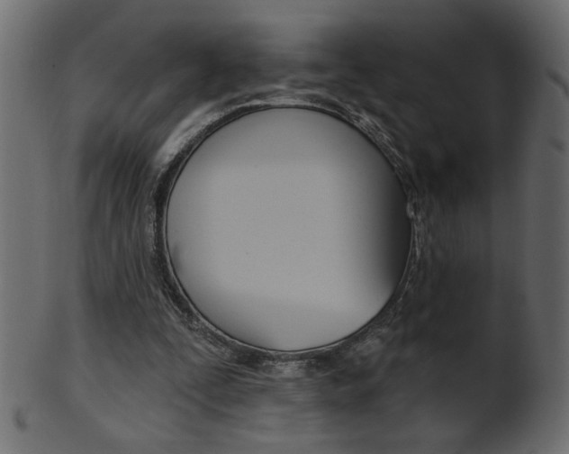 X0000102020295200807180949
