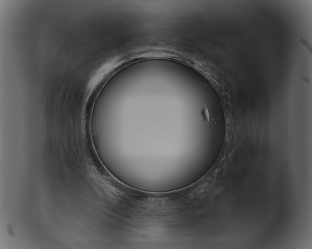 X0000102020296200807180949
