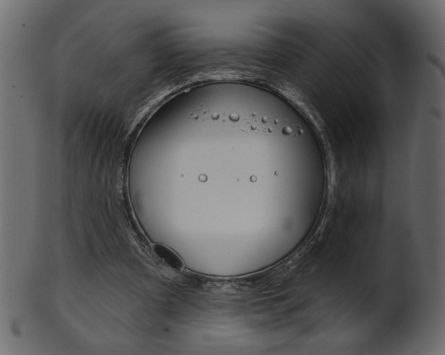 X0000102020297200807180949
