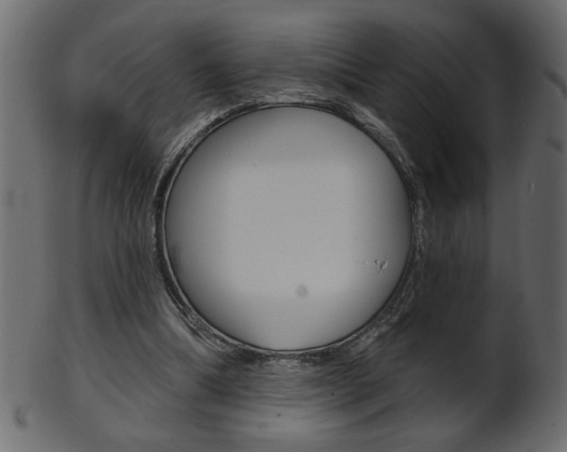X0000102020298200807180949