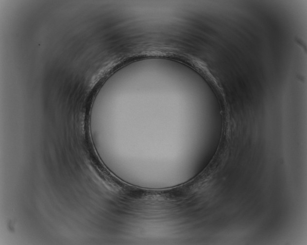 X0000102020299200807180949