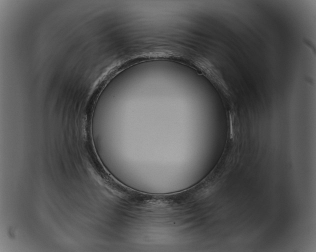 X0000102020300200807180949
