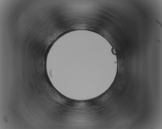 X0000102020301200807180949