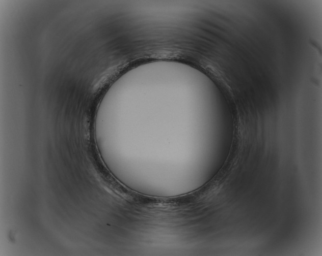 X0000102020303200807180949