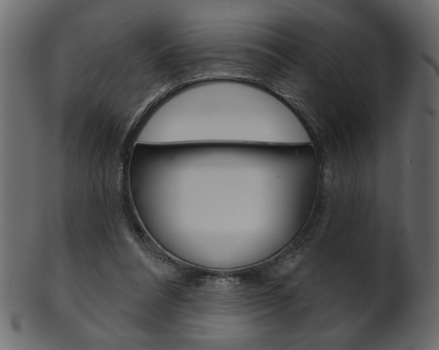 X0000102020304200807180949