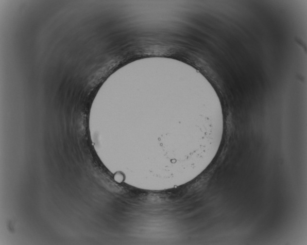 X0000102020305200807180949