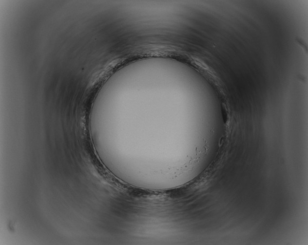 X0000102020306200807180949