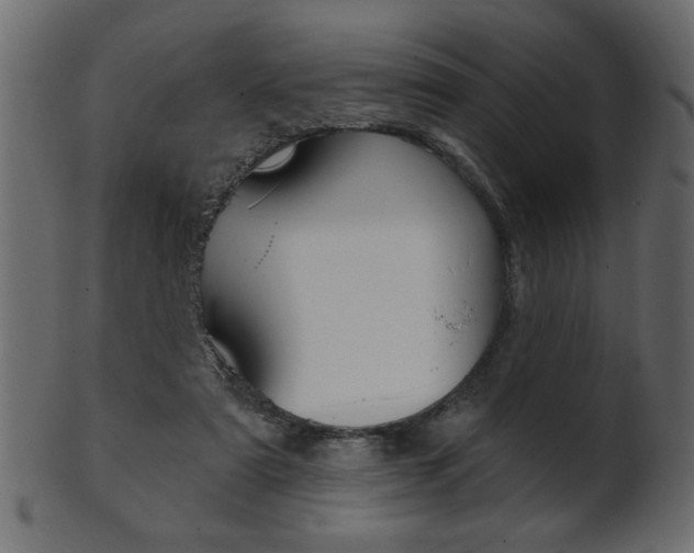 X0000102020307200807180949