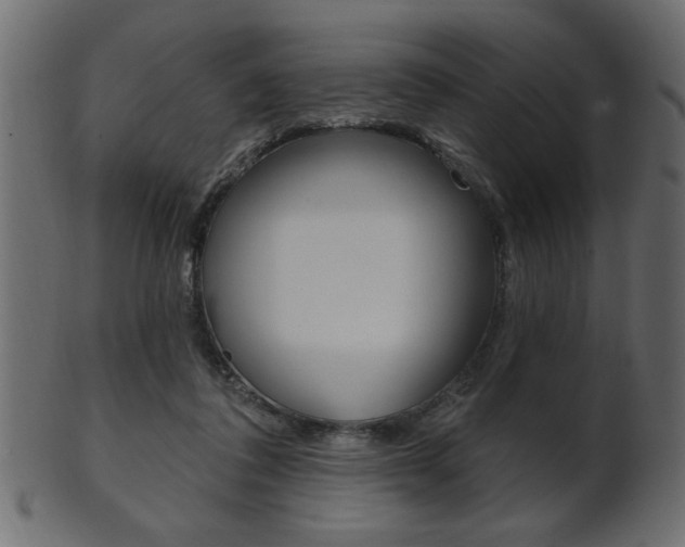X0000102020308200807180949