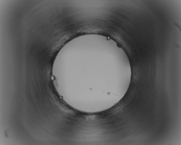 X0000102020309200807180949
