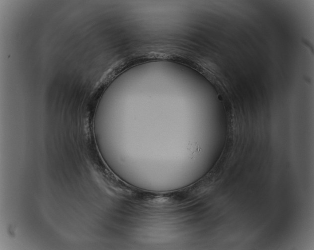 X0000102020312200807180949