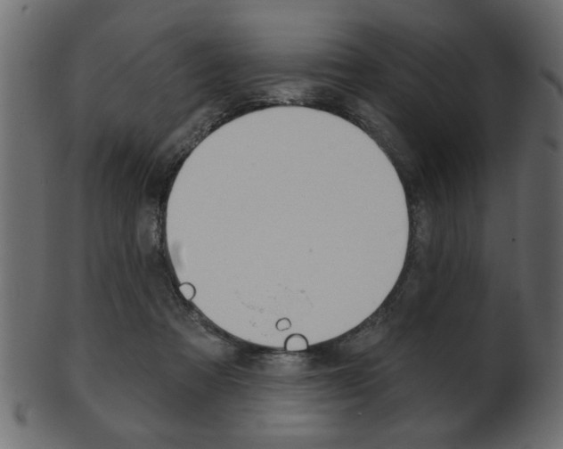 X0000102020313200807180949
