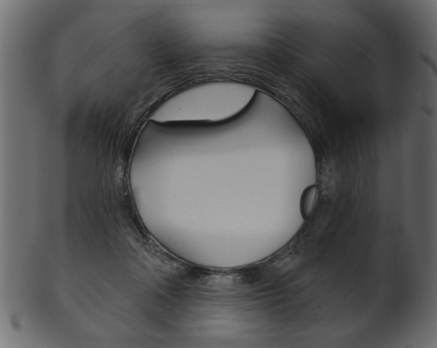 X0000102020314200807180949