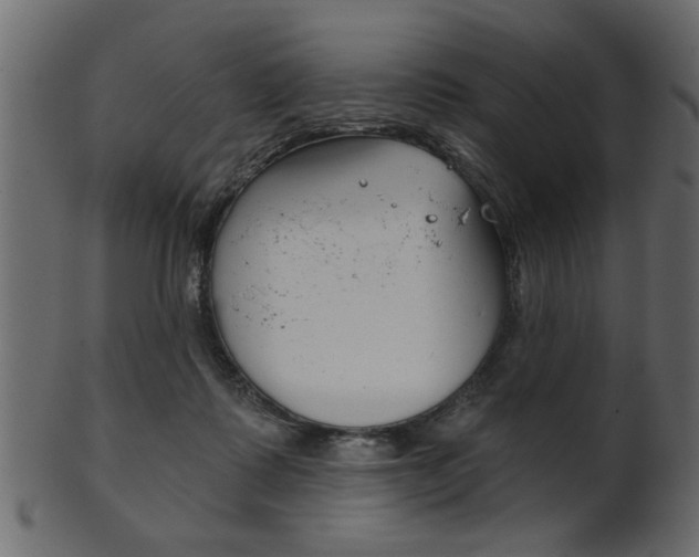 X0000102020315200807180949