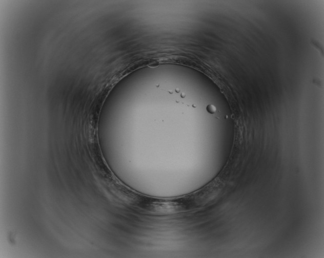 X0000102020316200807180949