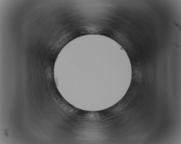 X0000102020317200807180949