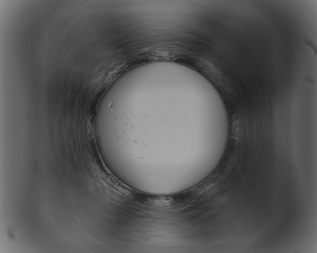 X0000102020318200807180949