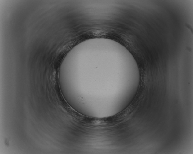 X0000102020319200807180949