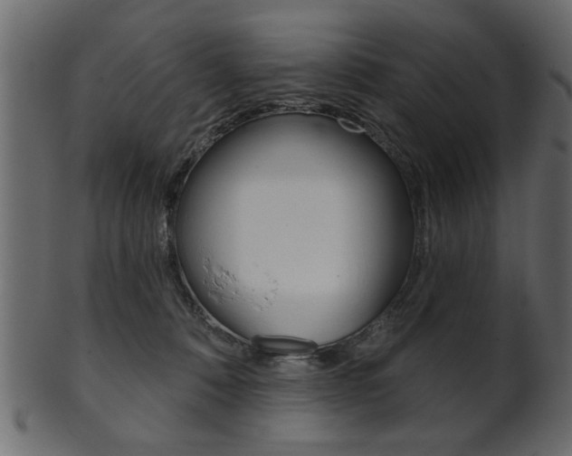 X0000102020320200807180949