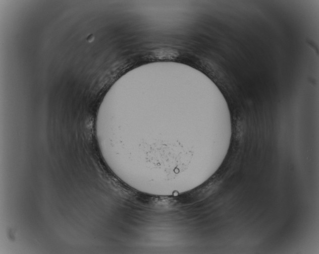 X0000102020321200807180949