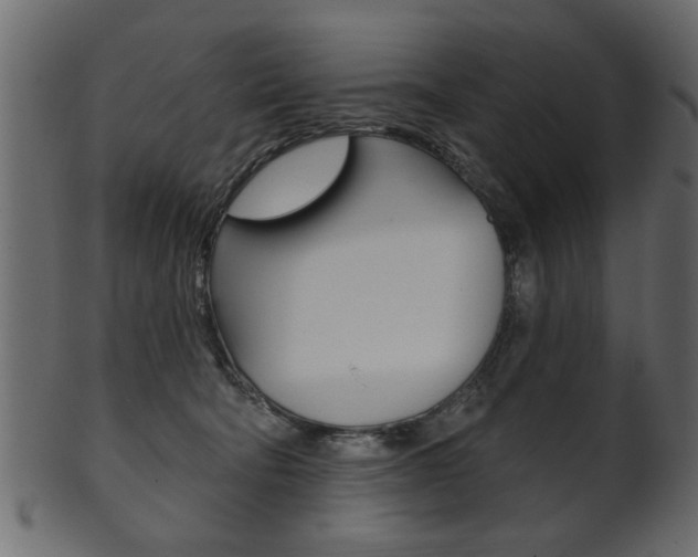 X0000102020322200807180949