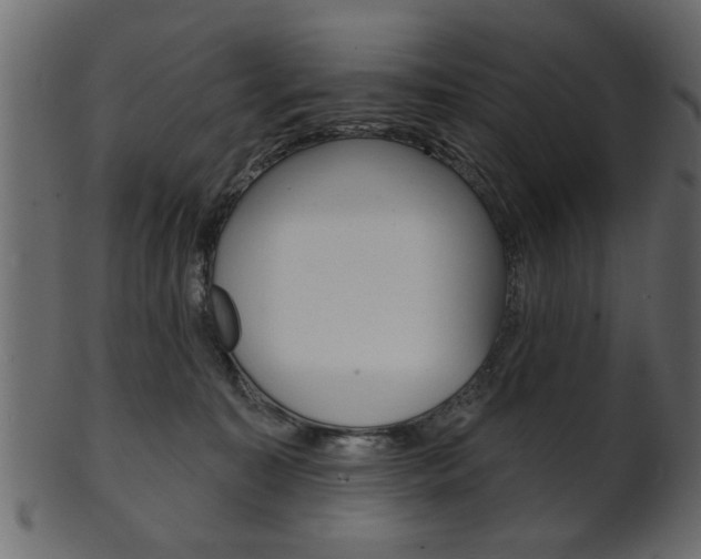 X0000102020323200807180949