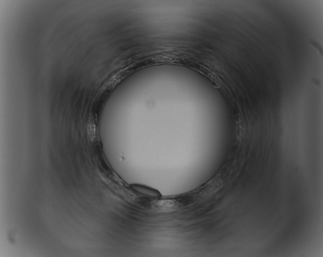 X0000102020324200807180949