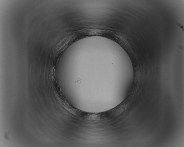 X0000102020325200807180949