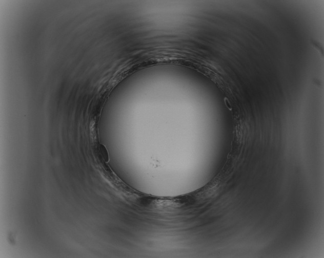 X0000102020327200807180949