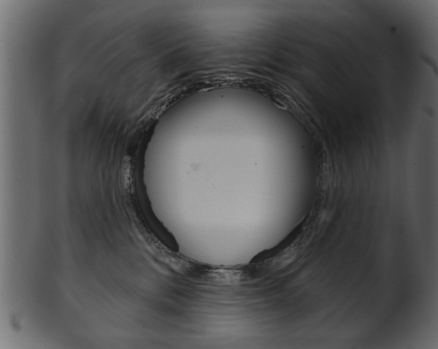 X0000102020328200807180949