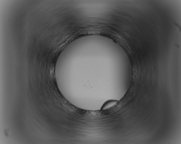 X0000102020329200807180949