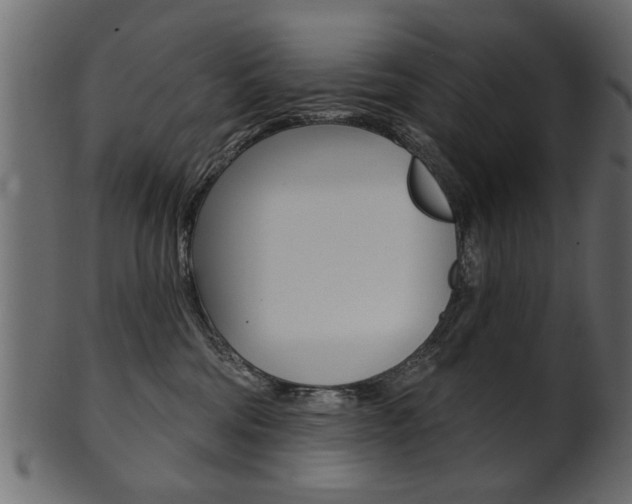 X0000102020330200807180949