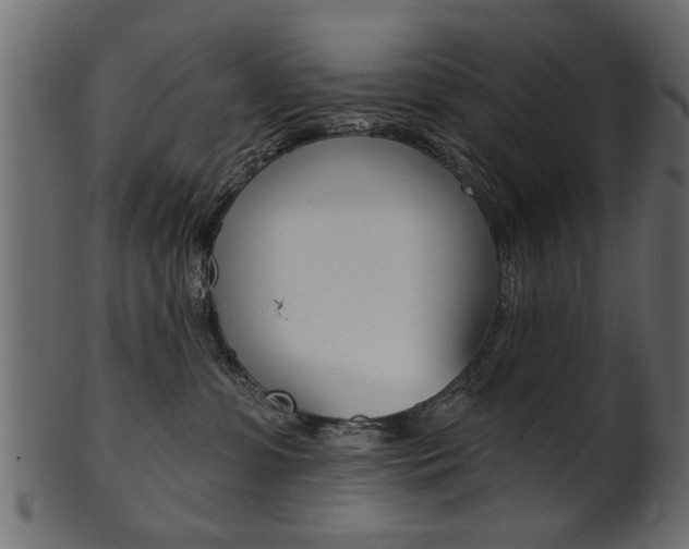 X0000102020331200807180949