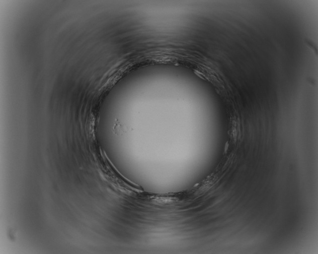 X0000102020332200807180949