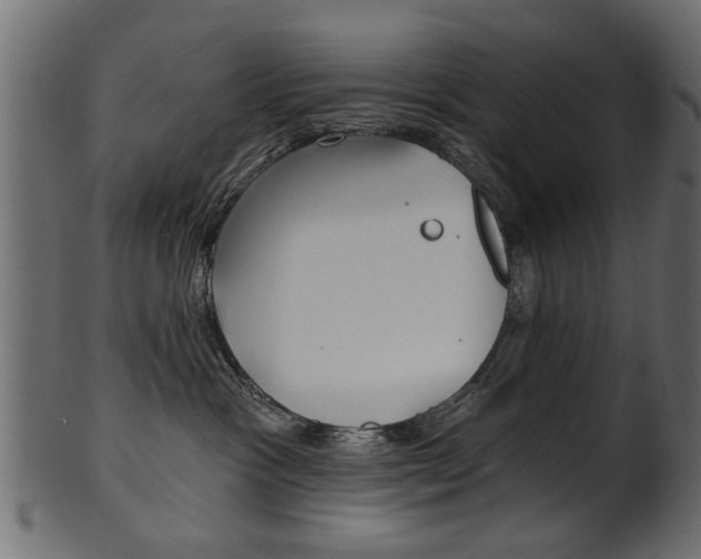 X0000102020333200807180949