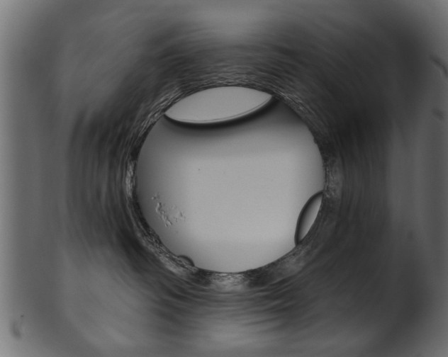 X0000102020334200807180949