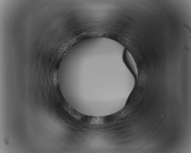 X0000102020335200807180949
